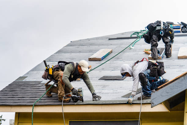 Professional Storm Damage Roof Repair technician working in Rockwell, NC